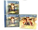 Sega Dreamcast Spiel Shenmue II