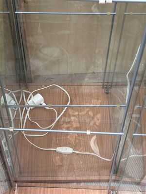 IKEA DETOLF Glasvitrine Buche-Optik inkl. Beleuchtung